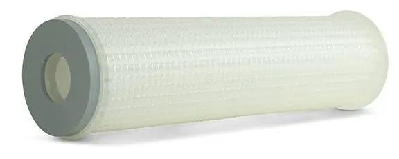 1-11402 Water Filter Cartridge, 0.45 Micron, 10 In. 1