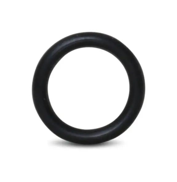 1-11679-012 Dialine Abrasive Inlet O-Ring 1
