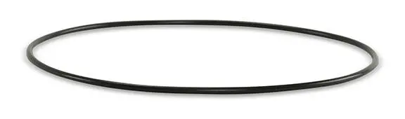 11679-044 Cylinder O-Ring 1