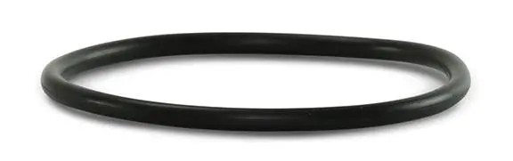 1-11679-125 Check Valve O-Ring, -125 1