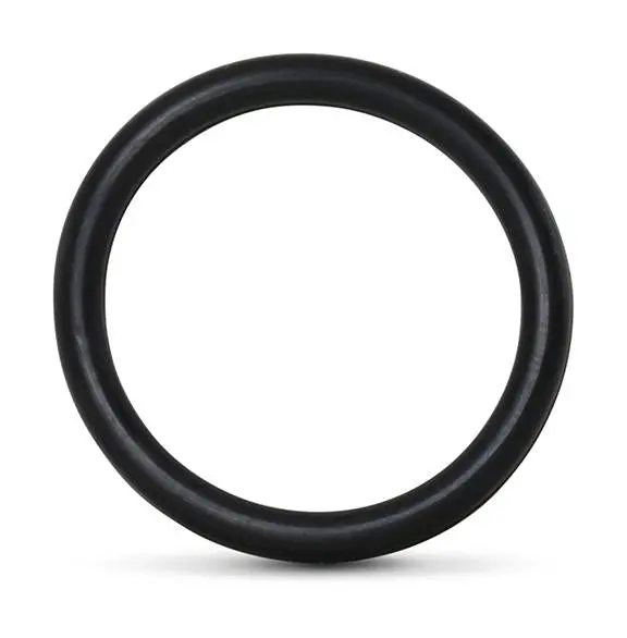 1-11679-216 Dialine Abrasive Body O-Ring 1
