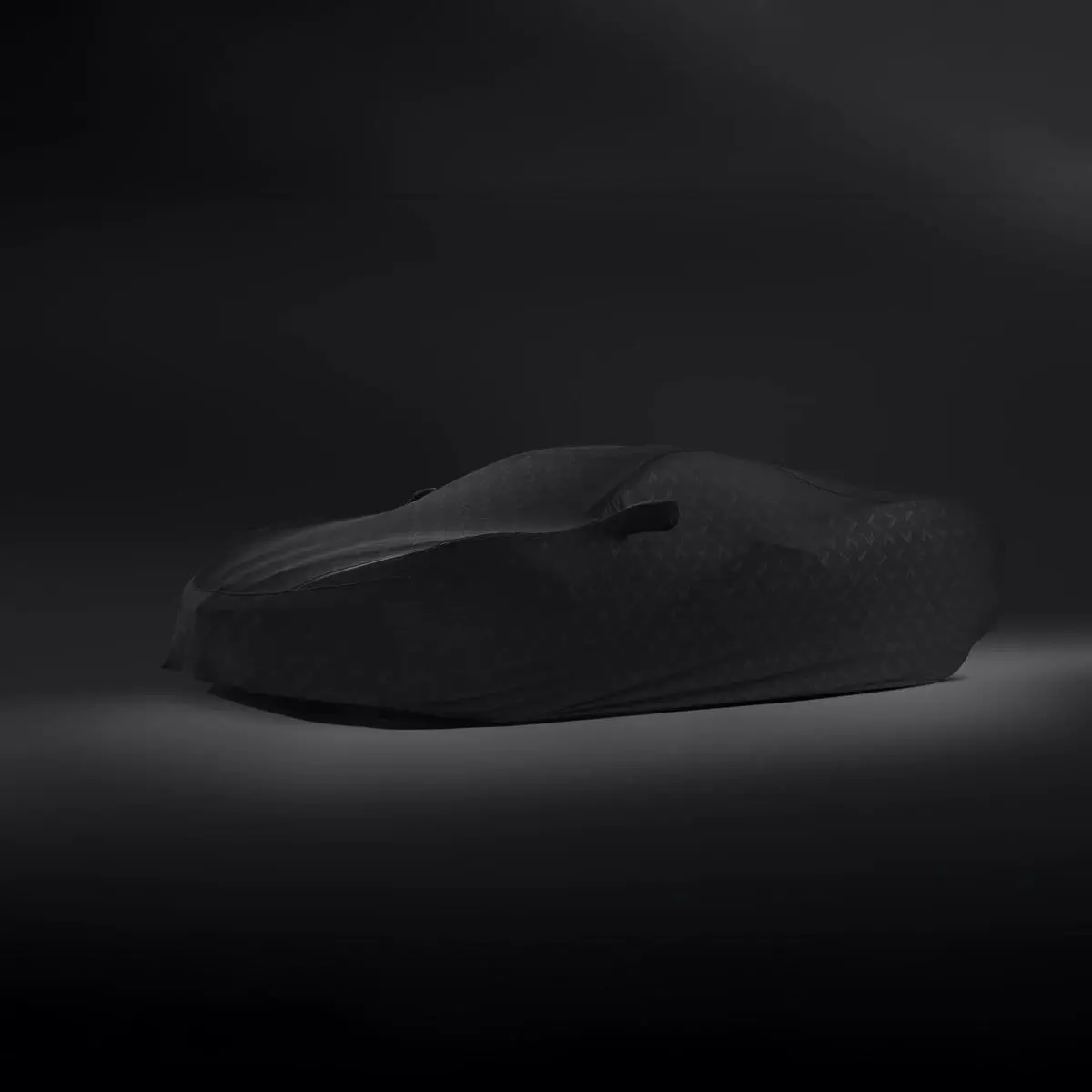 C8 Stingray Car Cover 1