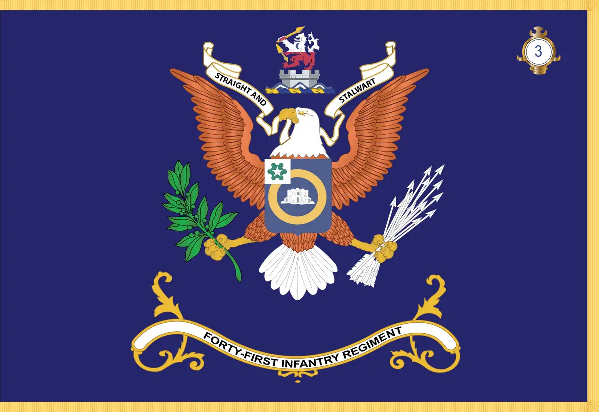 Rectangle Flags - Army - Regimental Colors - 41St Infantry Regiment  - Straight And Stalwart - 3Rd Battalion 1