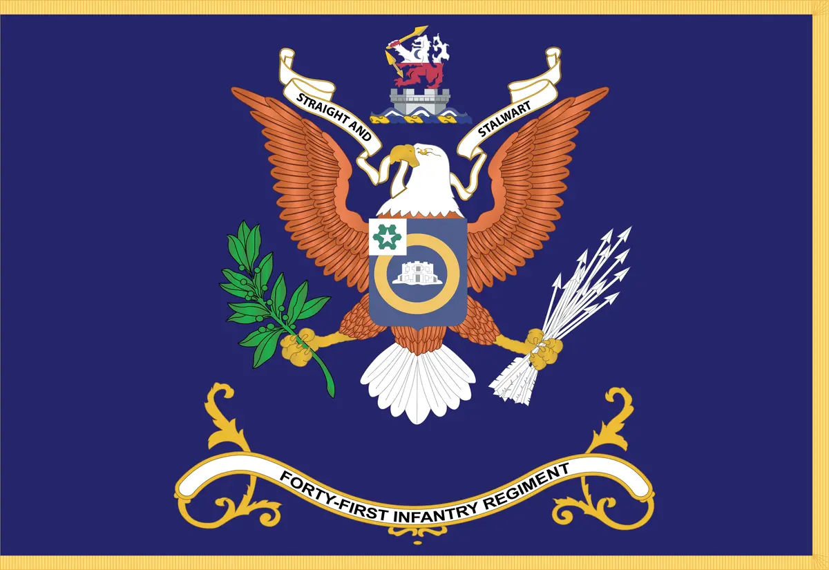 Rectangle Flags - Army - Regimental Colors - 41St Infantry Regiment  - Straight And Stalwart X 300 1